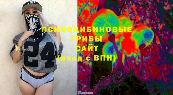 дживик Балахна