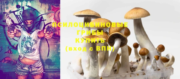 дживик Балахна