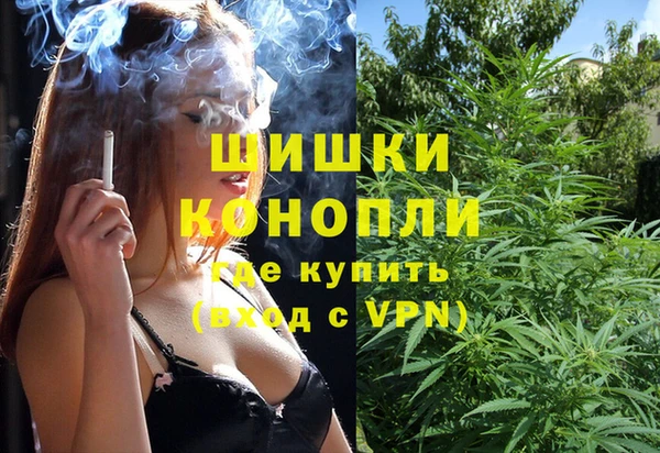 дживик Балахна