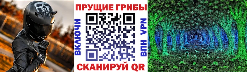 Псилоцибиновые грибы мухоморы  Высоковск 
